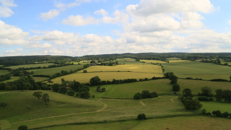 Harry Edwards Healing Sanctuary